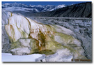 Yellowstone(7): Mammoth Hot Spring 