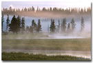 Yellowstone (27) 晨雾 