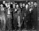 世纪图片(4) 1945，解放集中营 