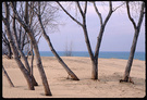 Indian Dunes 