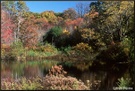 秋天森林湖泊 