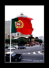 葡国国旗 