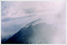 云雾笼罩的南山。 