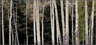 洛基山国家公园 (Rocky Mountain National Park) 