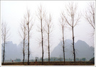 英西峰林-2,薄雾蒙胧时这样拍可以吗? 