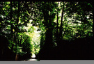 伦敦：高门公墓(HIGHGATE CEMETERY) 