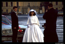 [都市印象]圣比得堡。广场上的婚礼 