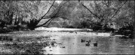 清溪（CLEARCREEK） 