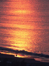 海南－－日出的海滨 