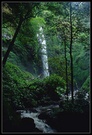 莫里热带雨林瀑布 
