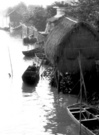 珠江口的一个小渔村。 