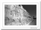 出埃及记---墙 
