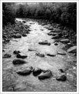 [东张西望]河流，卵石 