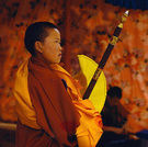 西藏-哲蚌寺，执法仗的僧童 
