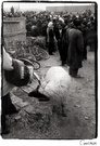 宁夏2002-羊&集市 
