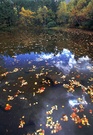 高原池畔--秋 