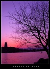 西子湖畔的黄昏 