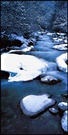 春节的习作 - 冬天木格措的小溪 