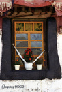 030813桑耶寺——窗口的花朵 