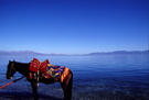 新疆风物志-塞里木湖之晨 