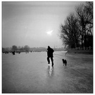 冰上奔跑的人和狗 