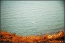 青海湖 1 