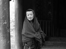 格尔登寺的小喇嘛II 