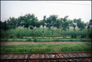 陇海线，火车窗外 
