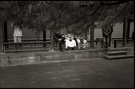 北京。颐和园。2007 