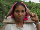 老挝妇女 