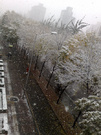 北京早上下雪了 