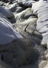冰冻的小溪 