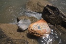 玉树－哀悼日 玛尼石拍摄于青海玉树