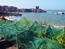 小麦岛（2） 岛上渔民捕蟹子的网
