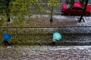 应景：北京降温了，落叶了，下雪了 
