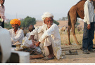 普什卡骆驼节.2012 看